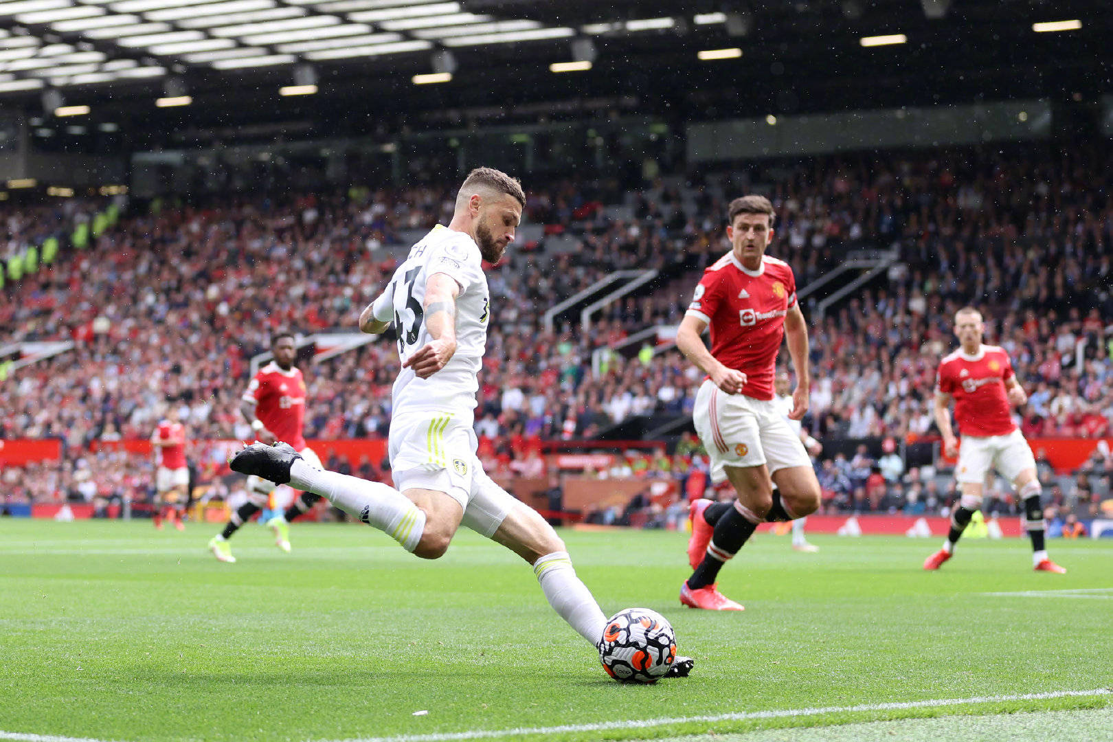 品牌的有效 品牌的有效